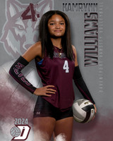 DHS_VAR_VB_IND1-34