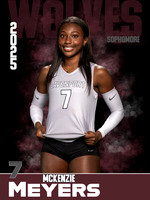 DHS_VB_Var_Ind1-67