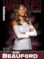 DHS_VB_Var_Ind1-28