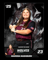DHS_SB_JV_Ind1-10