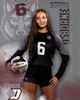DHS_JV_VB_IND1-30