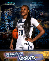 OHS_Var_GBB_Ind1-032