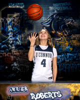 OHS_Var_GBB_Ind1-067
