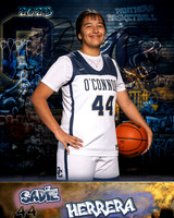 OHS_Var_GBB_Ind1-013