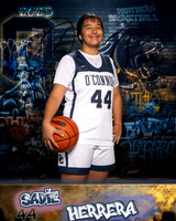 OHS_Var_GBB_Ind1-026