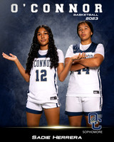 OHS_Var_GBB_Ind2-104