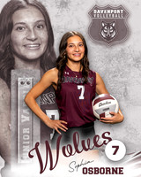 DHS_VB_JV_Ind2-7