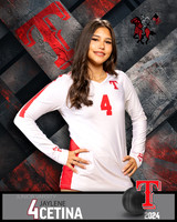 THS_JV_VB_IND2-20