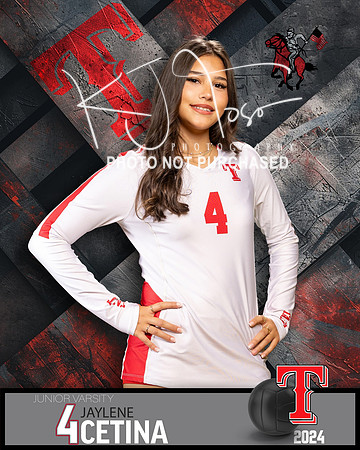 THS_JV_VB_IND2-20