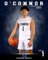 OHS_JV_BBB_Ind1-01