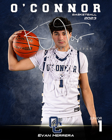 OHS_VAR_BBB_Ind1-40