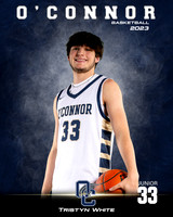 OHS_VAR_BBB_Ind1-38
