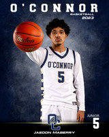 OHS_VAR_BBB_Ind1-30