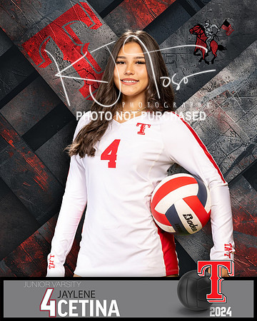 THS_JV_VB_IND2-52