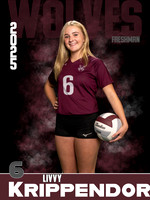 DHS_VB_9th_Ind1-33