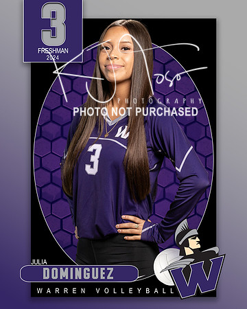 WHS_9th_VB_IND1-3