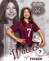 DHS_VB_9th_Ind2-16