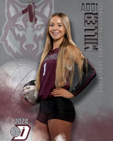 DHS_VAR_VB_IND1-46