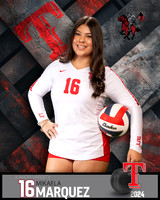 THS_JV_VB_IND2-61