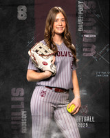 DHS_SB_V_Ind2-57