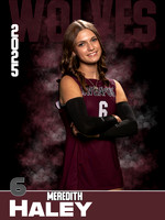 DHS_VB_JV_Ind1-22