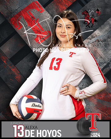 THS_JV_VB_IND2-43