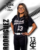 CHS_JVSB_Ind1-9