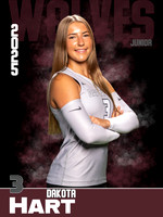 DHS_VB_Var_Ind1-78
