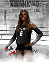 CHS_VAR_VB_IND1-66