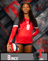 THS_VAR_VB_IND2-41