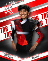 THSB_TR_IND1-11