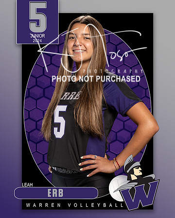WHS_VAR_VB_IND1-5