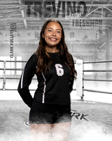 CHS_9th_VB_IND1-21