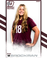 DHS_9th_VB_IND2-12
