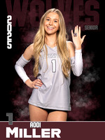 DHS_VB_Var_Ind1-76