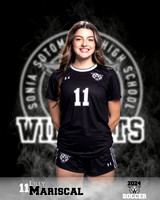 SHS_GSOC_Ind1-11