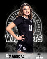 SHS_GSOC_Ind1-35