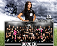 SHS_GVS_MM-10