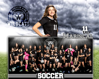 SHS_GVS_MM-11