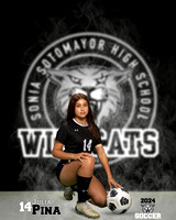 SHS_GSOC_Ind2-013