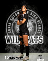SHS_GSOC_Ind2-014