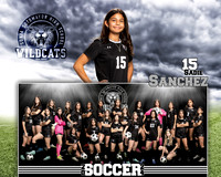 SHS_GVS_MM-14