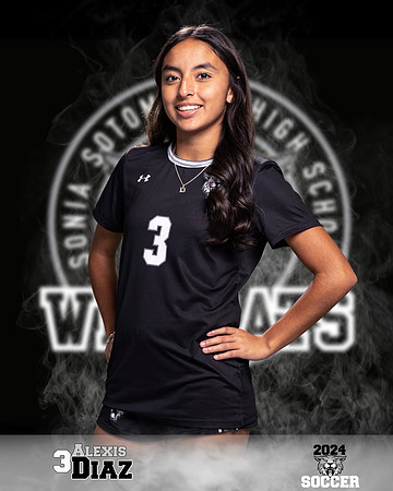 SHS_GSOC_Ind1-28