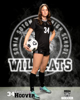 SHS_GSOC_Ind2-024