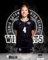 SHS_GSOC_Ind1-05