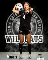SHS_GSOC_Ind2-053