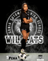 SHS_GSOC_Ind2-006