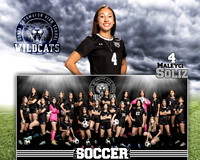 SHS_GVS_MM-05