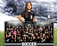 SHS_GVS_MM-08