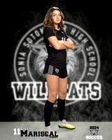 SHS_GSOC_Ind2-011